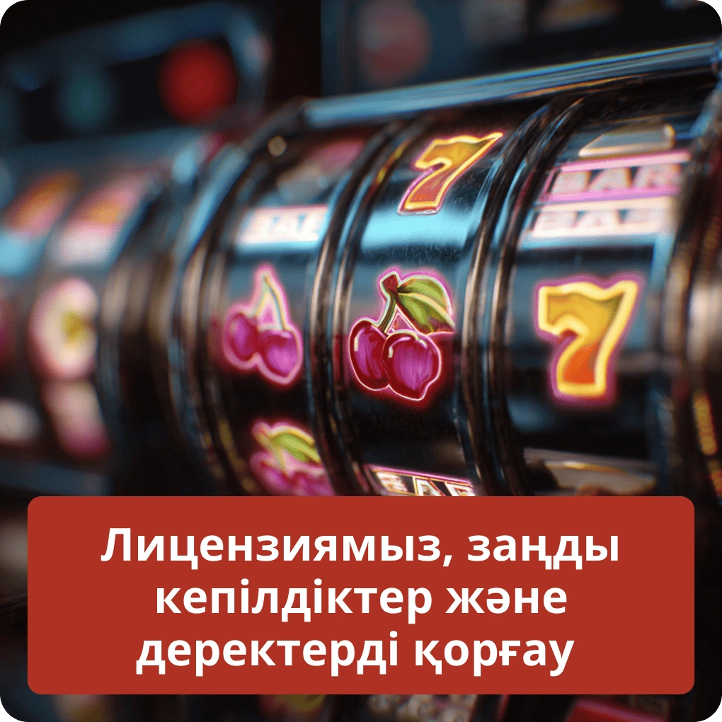 Лицензиямыз, заңды кепілдіктер және деректерді қорғау