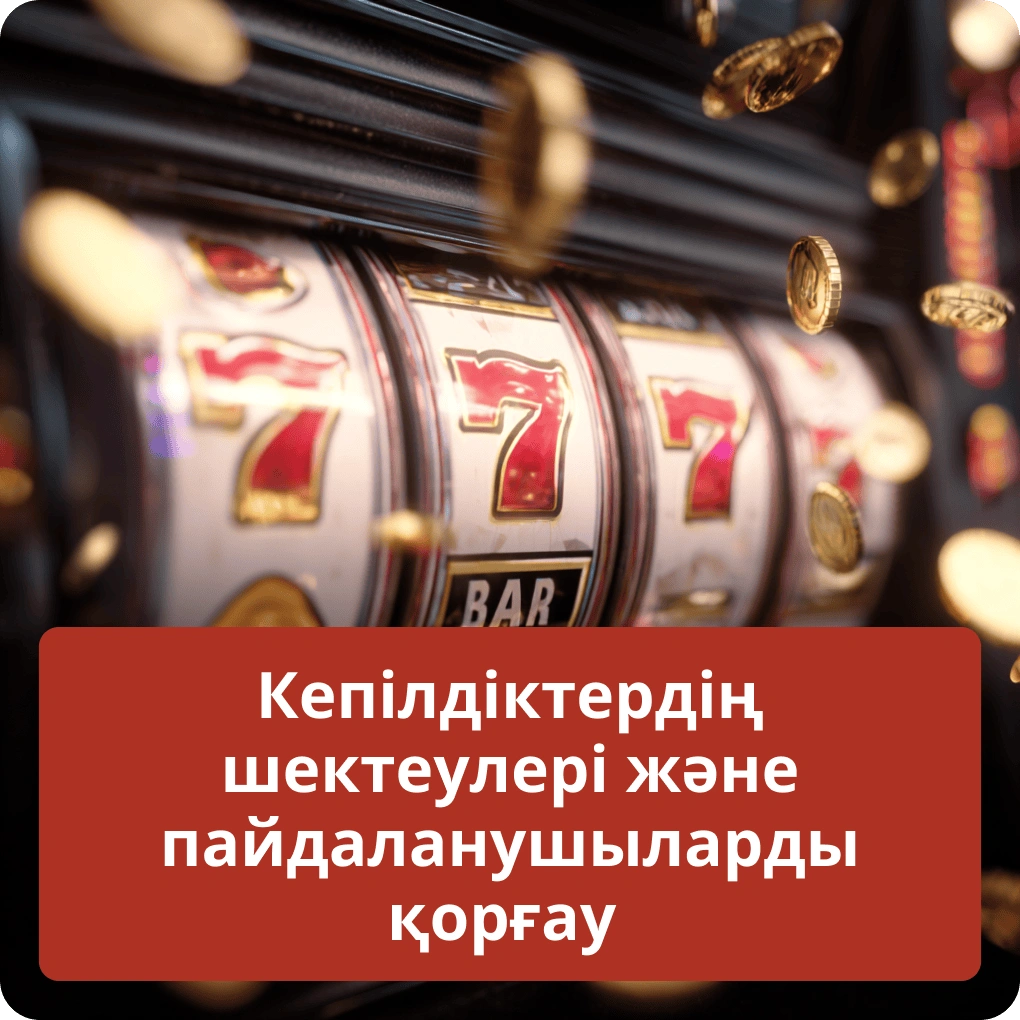 Кепілдіктердің шектеулері және пайдаланушыларды қорғау